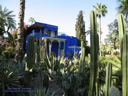 Riad Villa Wenge