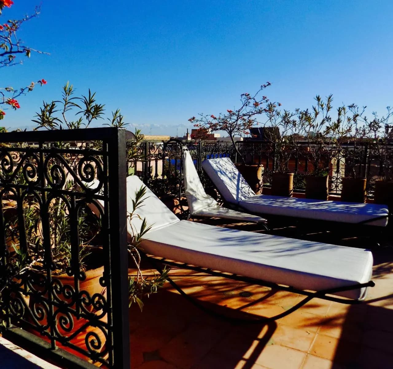 Riad Les Trois Palmiers 2