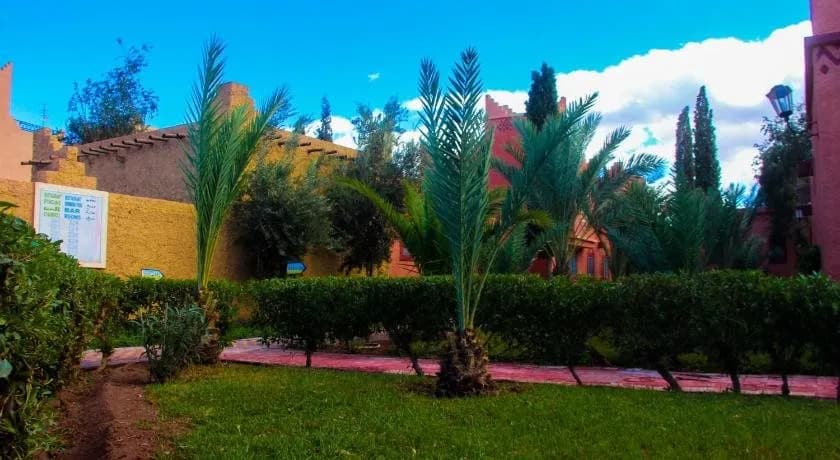 Palmeraie 5