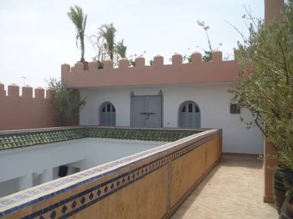 Riad Shemsi 4