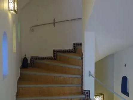 Riad Shemsi 2