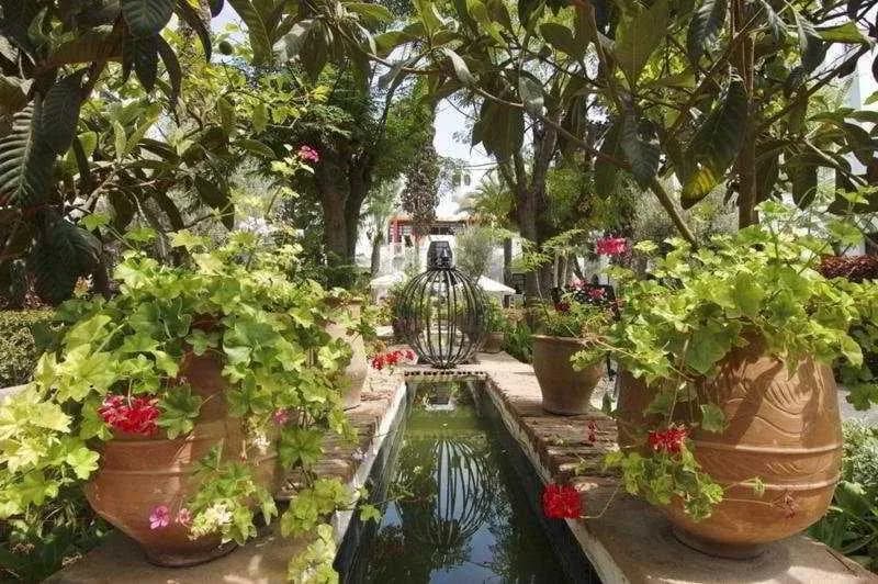 Caribbean Village Agador 4