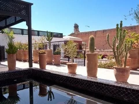 Riad Alegria 3