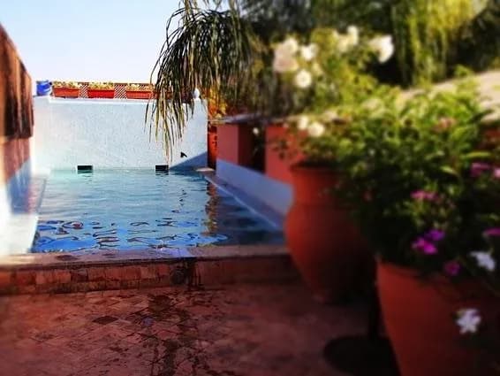 Riad Ayadina and Spa 2
