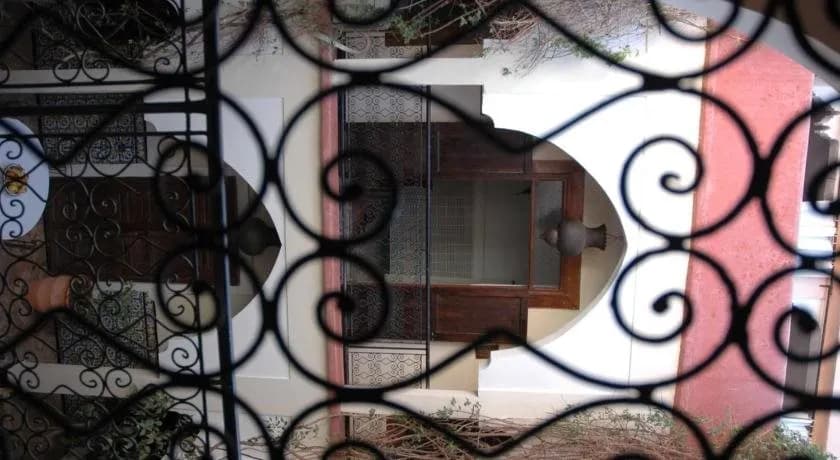 Riad Elsagaya 4