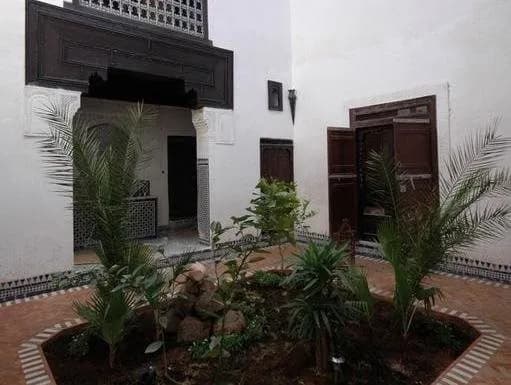Riad Felloussia