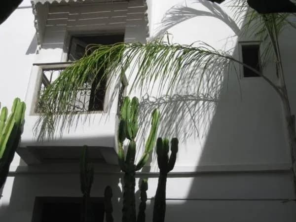 Riad O2