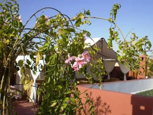Riad Mariana 2