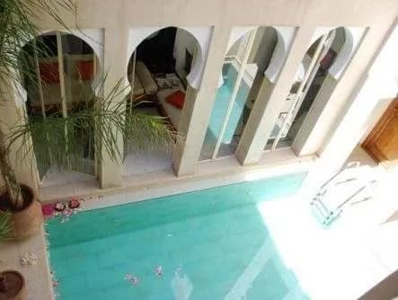 Riad Nafis 2