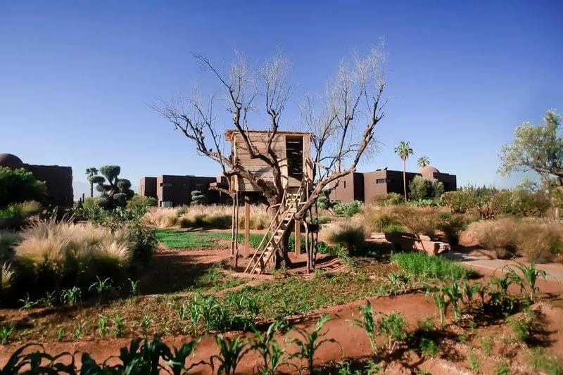 Fellah Hotel