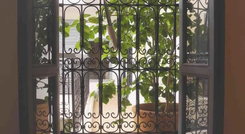 Riad Linda 3