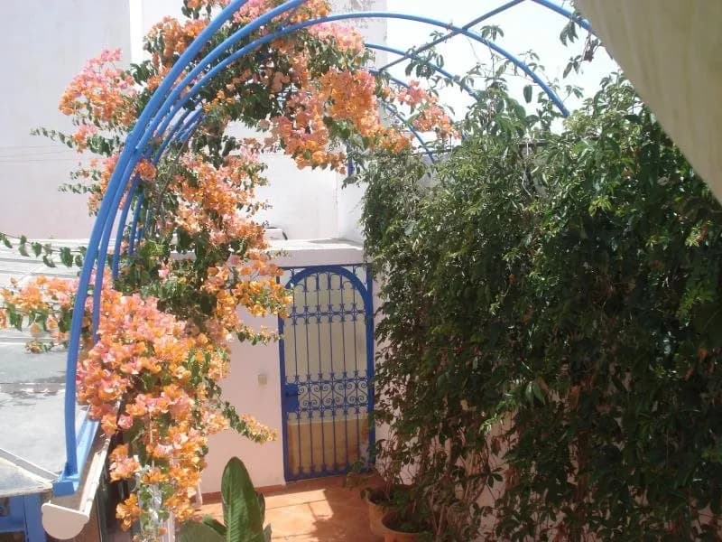 Riad Marlinea 3