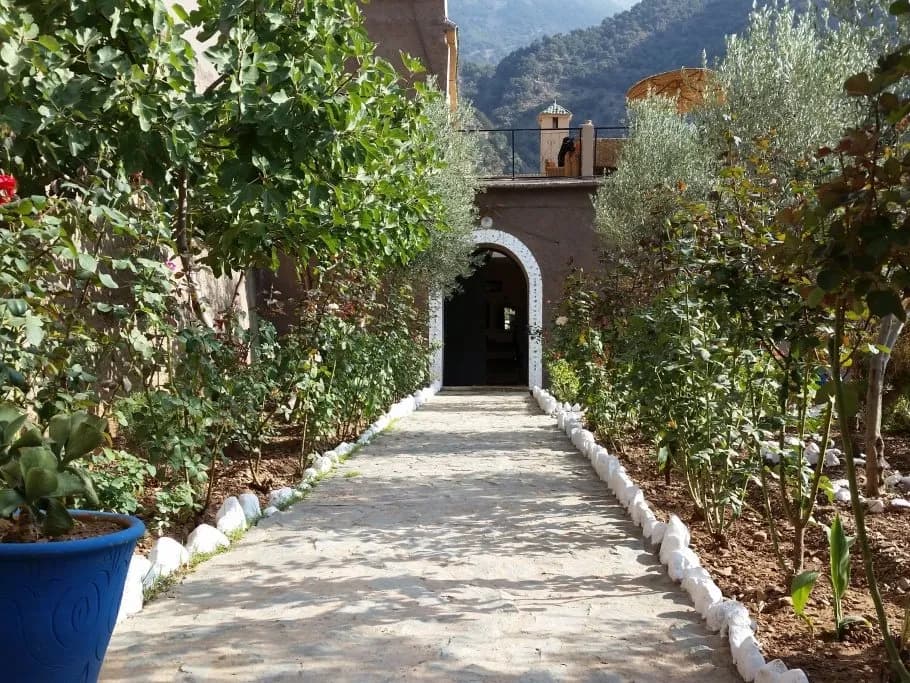 Dar Tassa 5