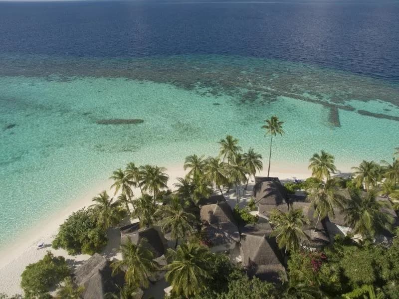 Angaga Island Resort & Spa 4