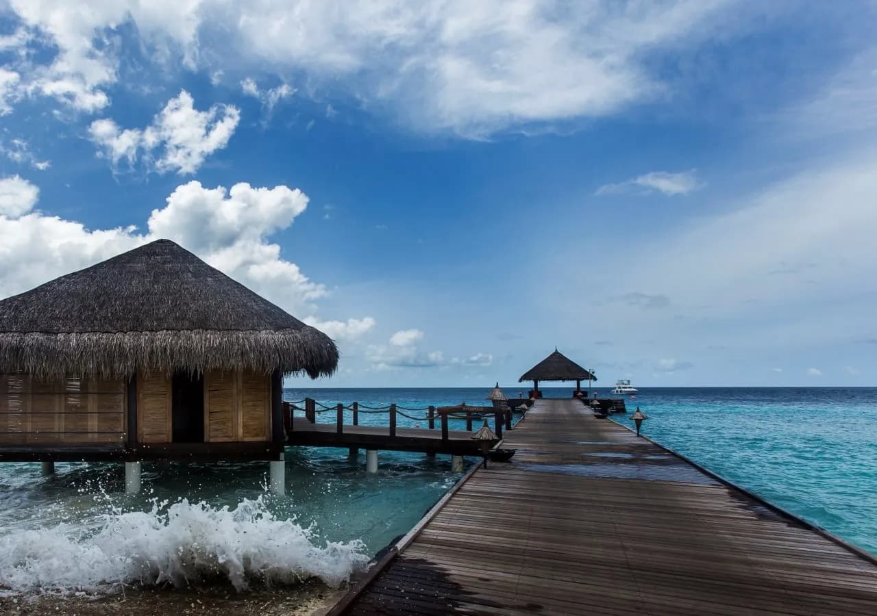 Taj Coral Reef Resort & Spa, Maldives 5