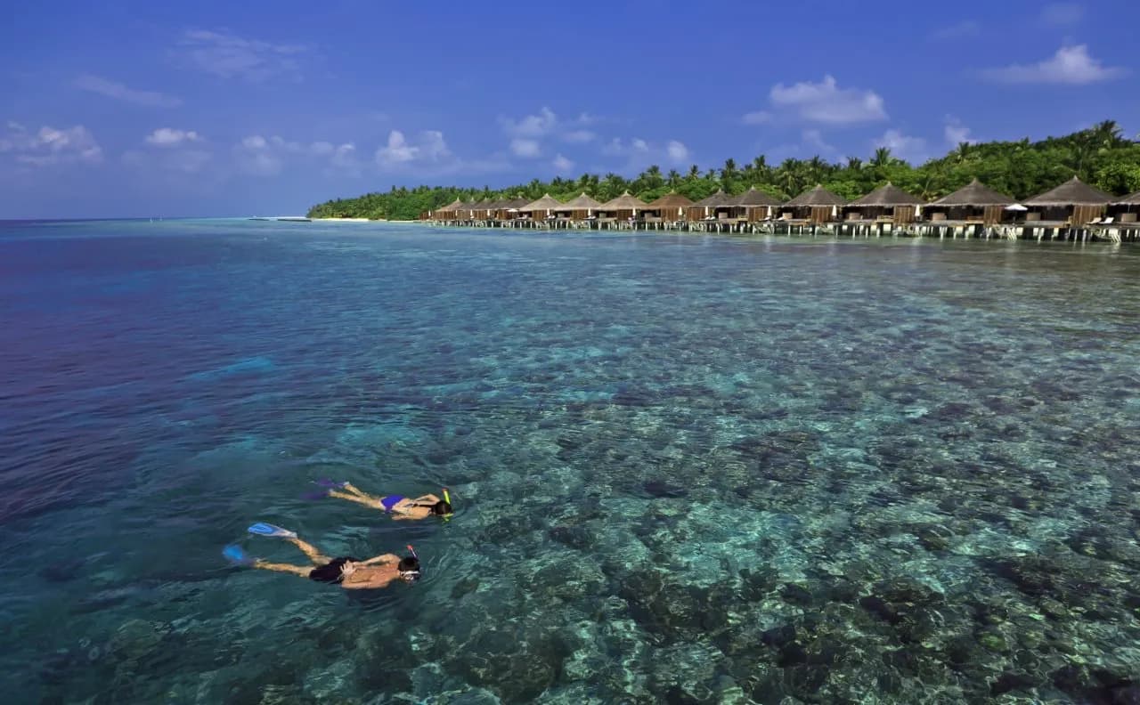 Niva Kuramathi Maldives 5