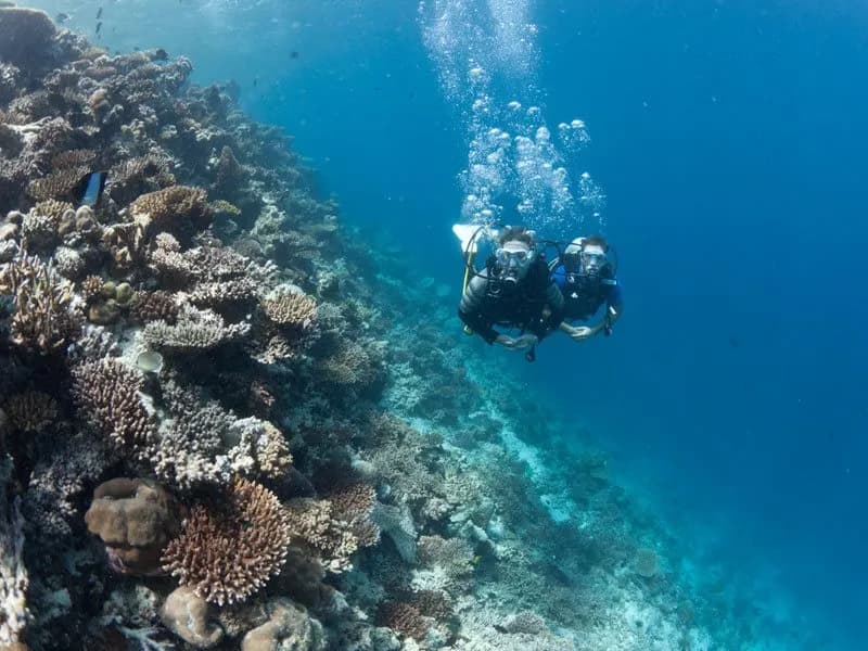 Sandies Bathala Maldives 3
