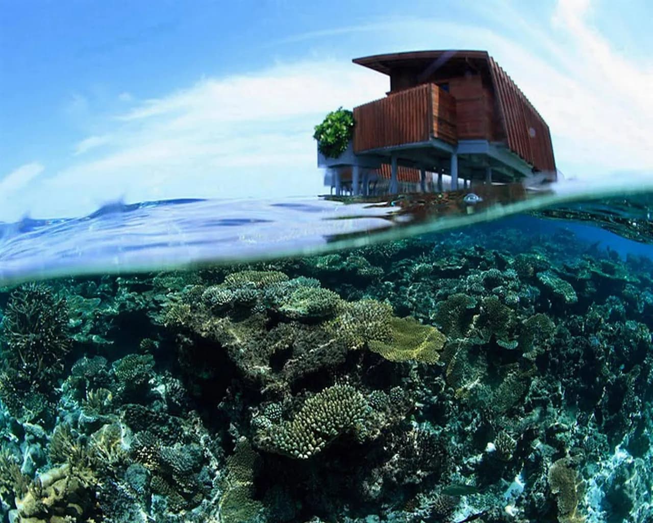 Park Hyatt Maldives Hadahaa 2