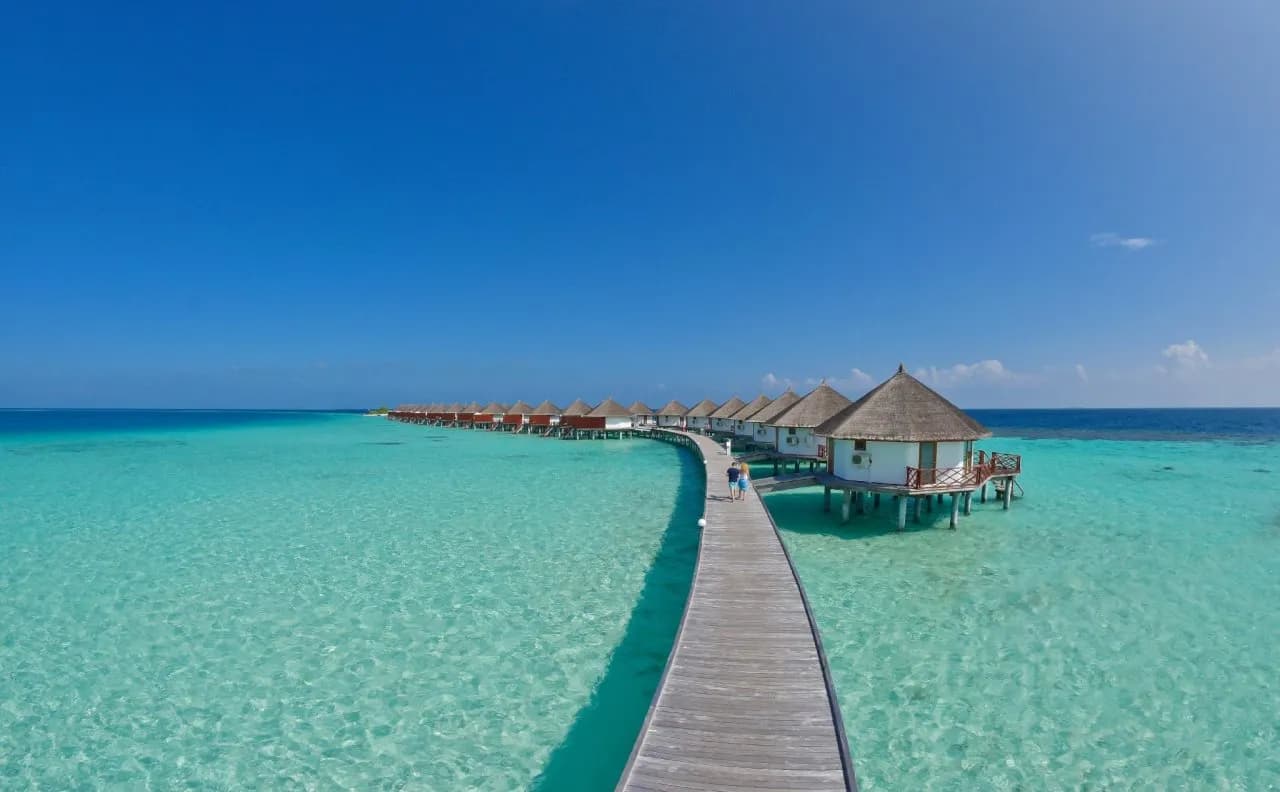 Safari Island Resort & Spa 4