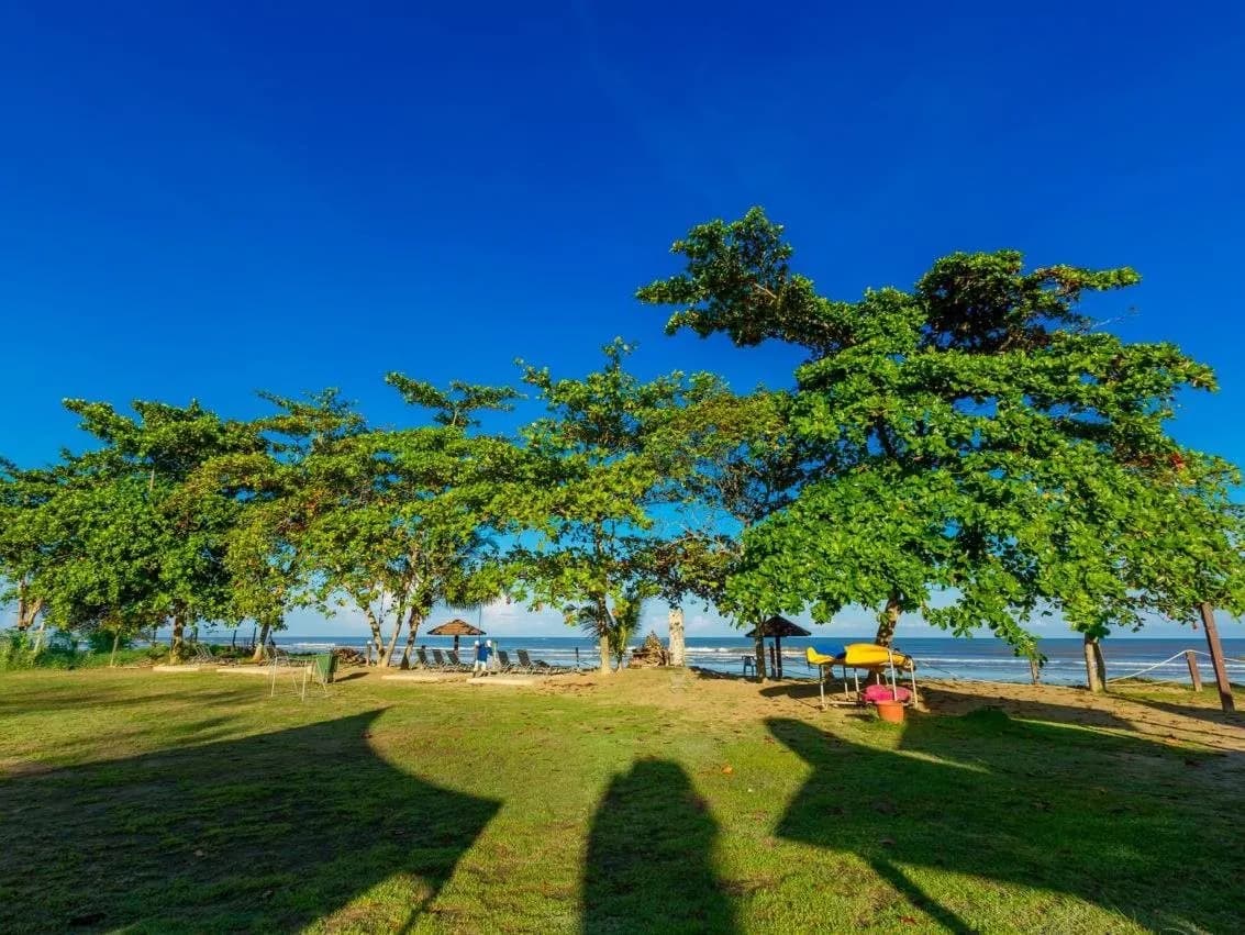Beringgis Beach Resort & Spa 3