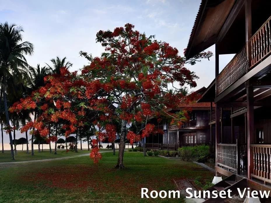 Pelangi Beach Resort & Spa 4