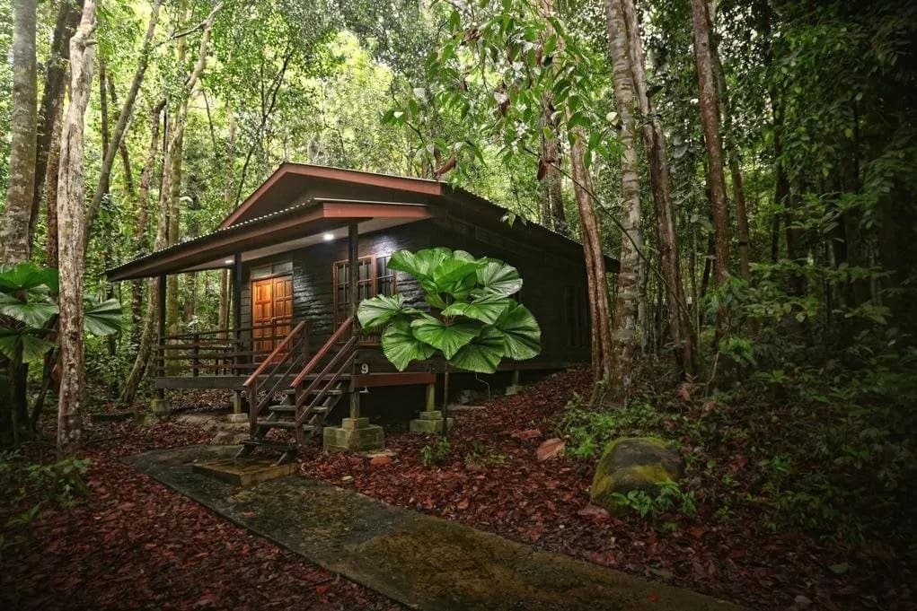 Permai Rainforest Resort 2
