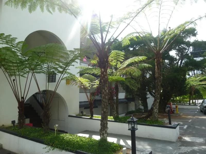 Strawberry Park Resort 3