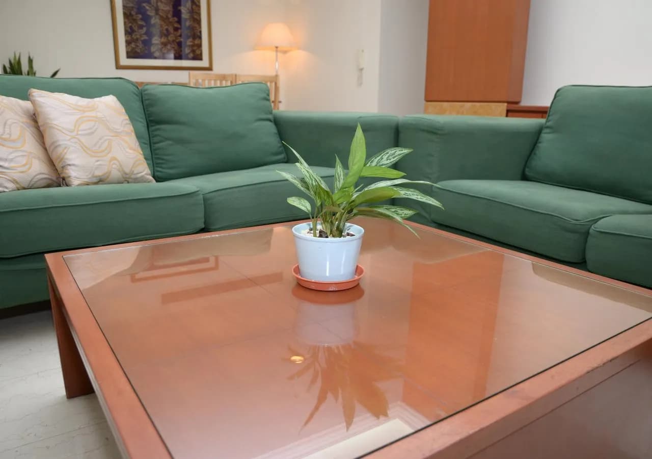 The Maple Suite 2
