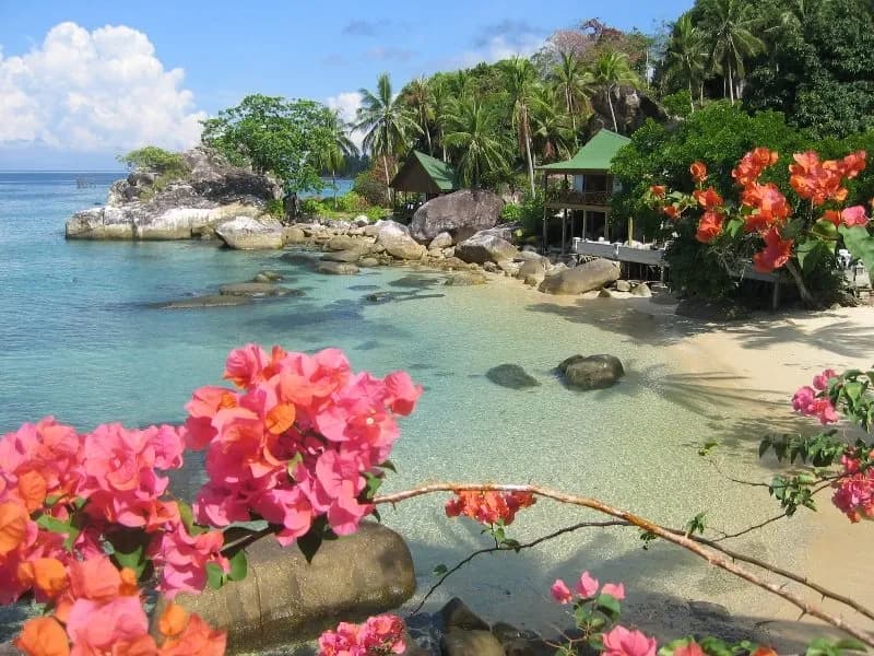 Minang Cove Resort & Spa