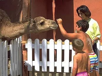 Palm Beach Club Djerba - All Inclusive 3