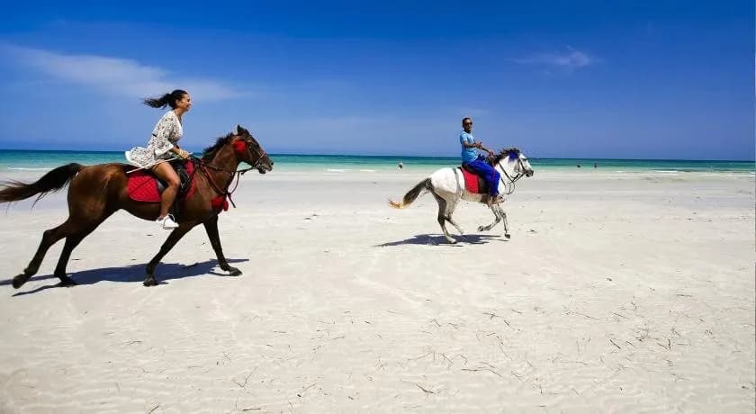 Djerba Plaza Thalasso & Spa 5