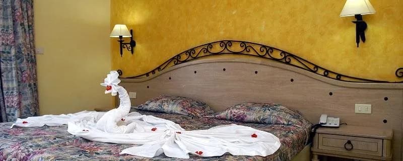 Hôtel Palmyra Golden Beach 5