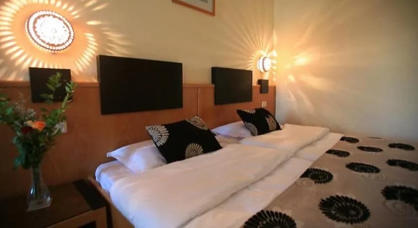 Hotel Les Palmiers 2