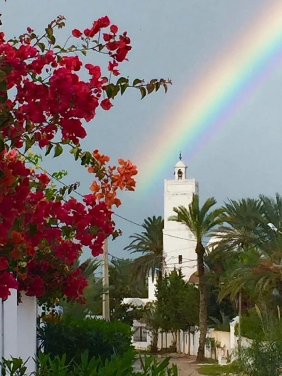 Djerba Orient 3