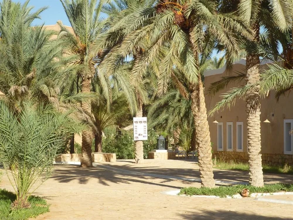 Campement Yadis Ksar Ghilane 3