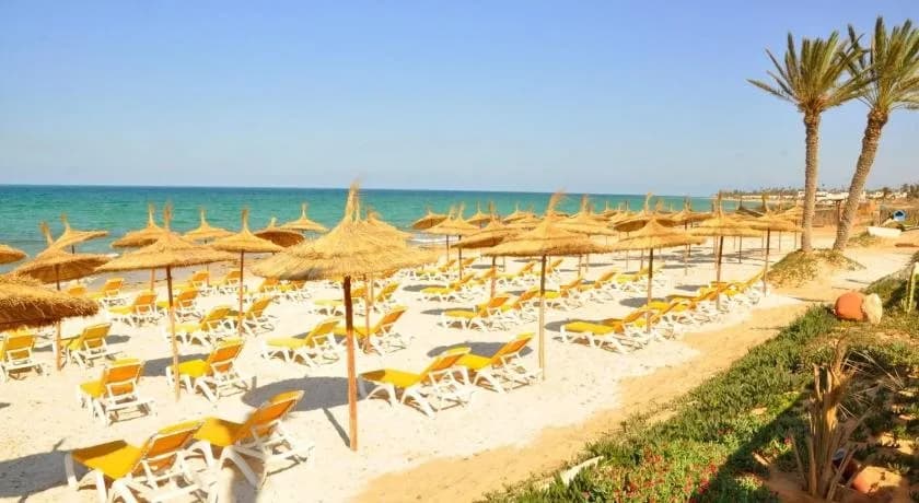 Vincci Safira Palms
