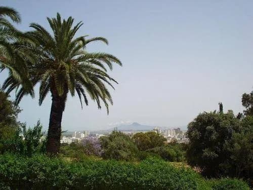 Saint Georges Tunis 4