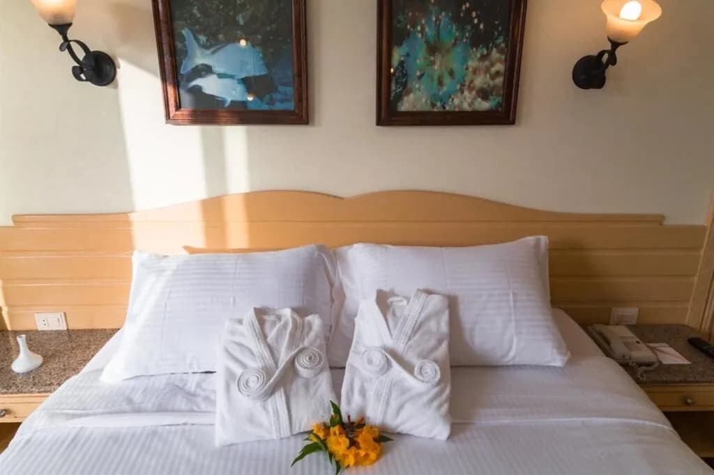Invidia Coral Beach Tiran 4