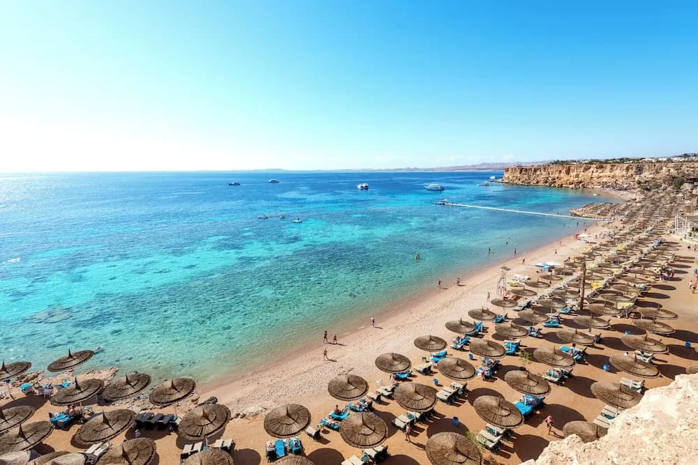 Reef Oasis Beach Resort