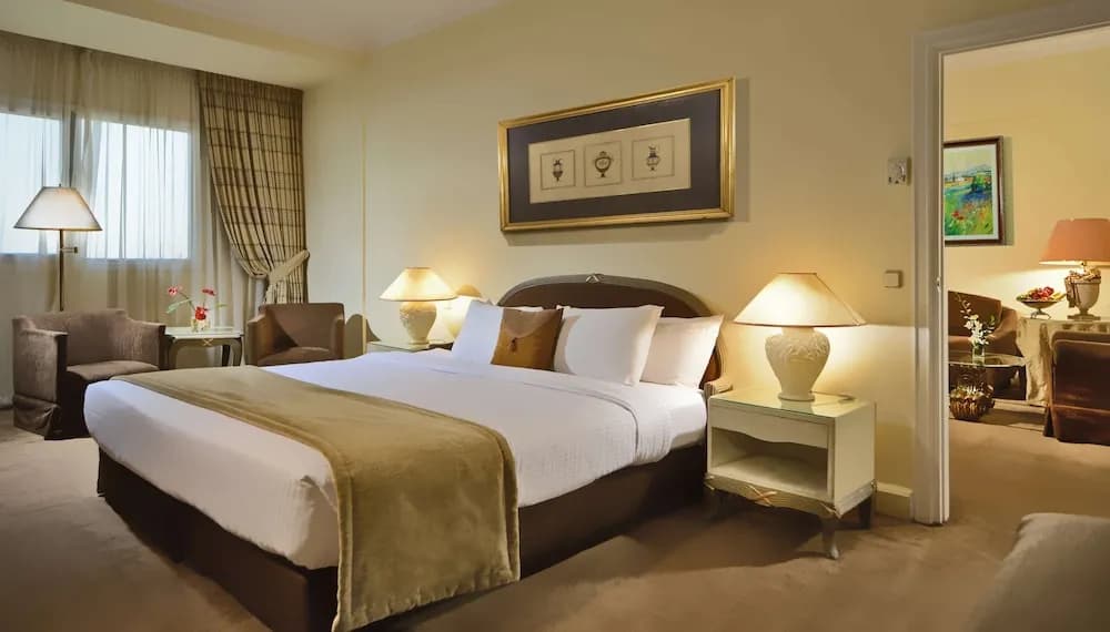 Sonesta Hotel Tower & Casino Cairo 5