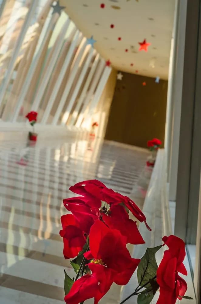 Hilton Alexandria Green Plaza 2