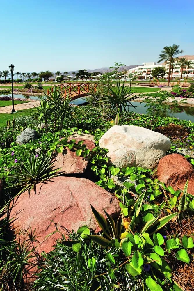 Mövenpick Taba Resort 5