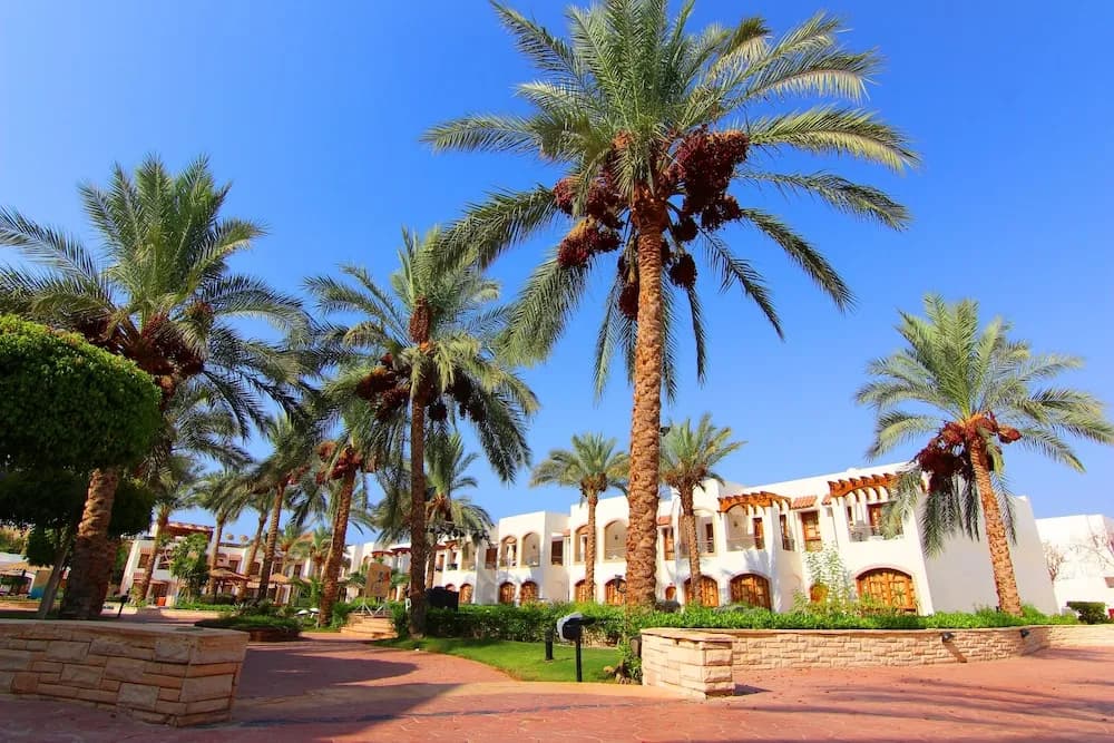 Coral Hills Resort Sharm El Sheikh 4