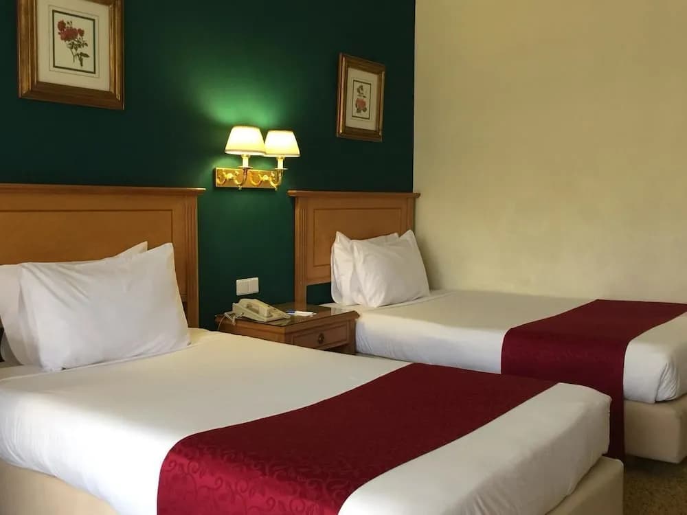 Hotel Amarante Pyramids 4
