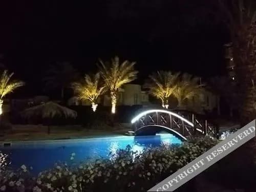 Palma Resort 4