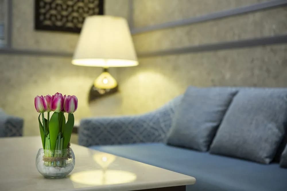 Carlton Tower Hotel Dubai 2