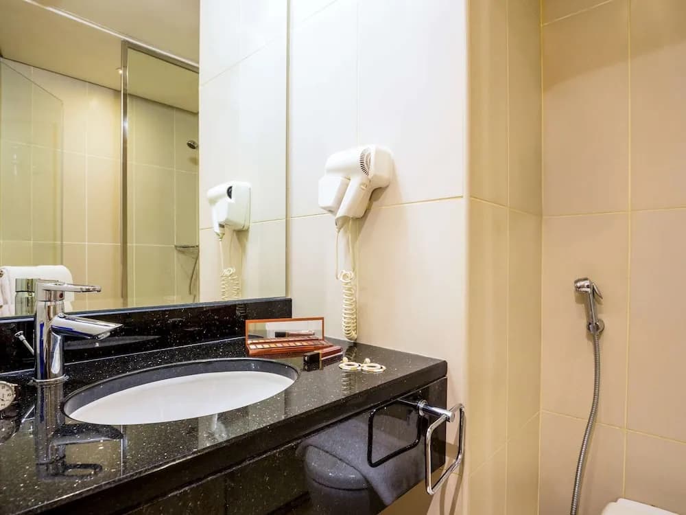 ibis Mall Avenue Dubai 4