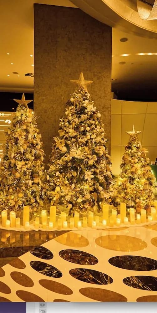 Sofitel Dubai Downtown 3