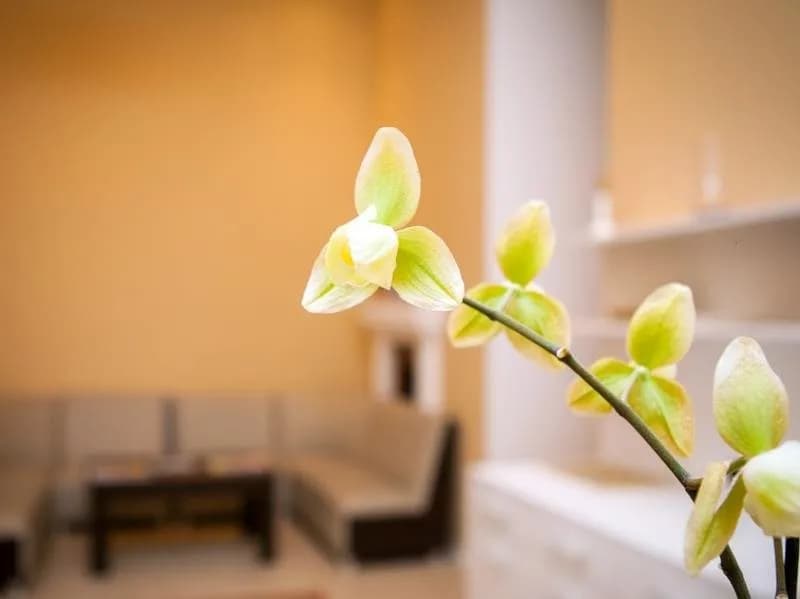 Bristol Hotel Baku 4