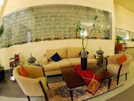 Golden Tulip Hail 5